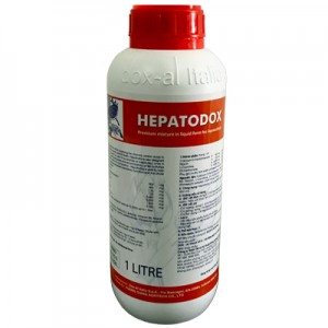 HEPATODOX